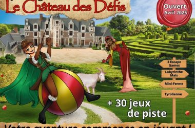 Affiche Le Château des défis Jallanges