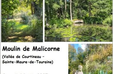 Aquarelle au jardin Moulin de Malicorne Sainte-Maure 14 juin 2025