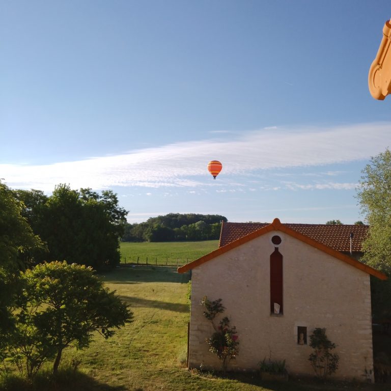 Au repos des elfes – Le grand Chevreuil au nez vert-21