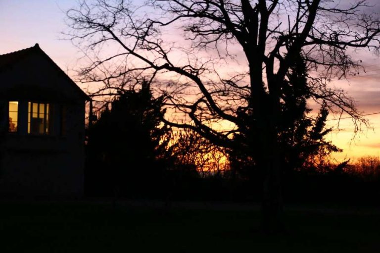 Au repos des elfes – Le grand Chevreuil au nez vert-24
