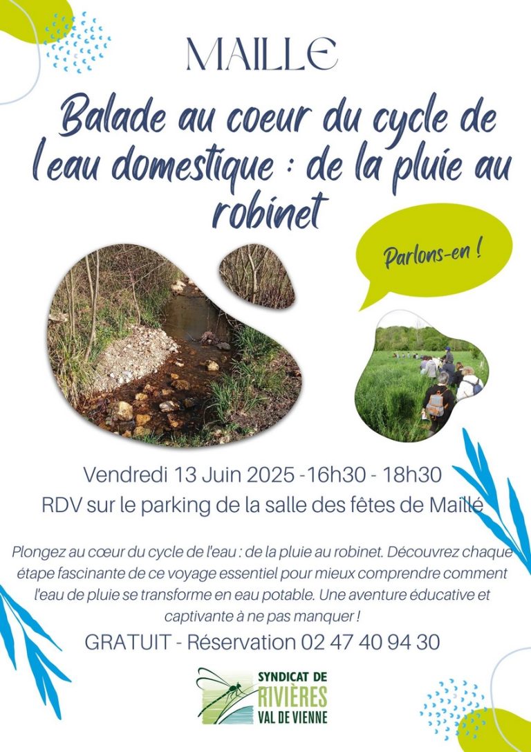 Balade au cœur du cycle de l’eau domestique : de la pluie au robinet-2