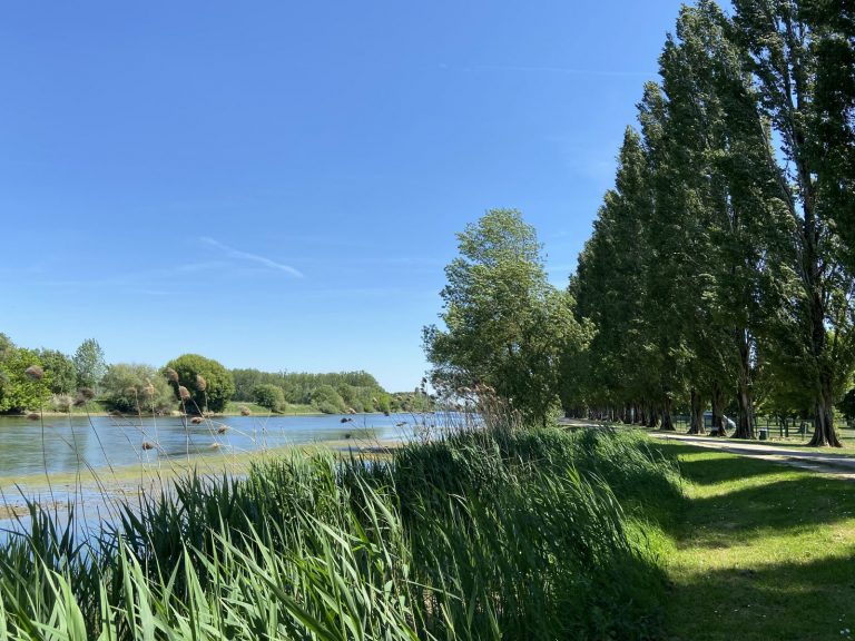 La Gâtine, Bléré – Picnic area-2