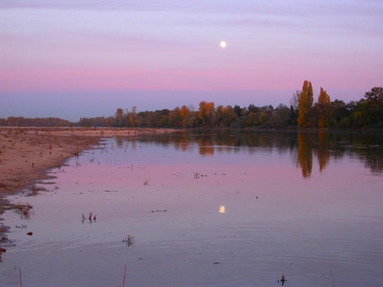 Visite Guidée : Les Bords de Loire-1
