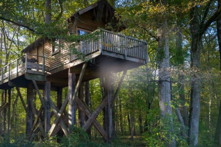 Château De Razay – Cabane dans les bois-1