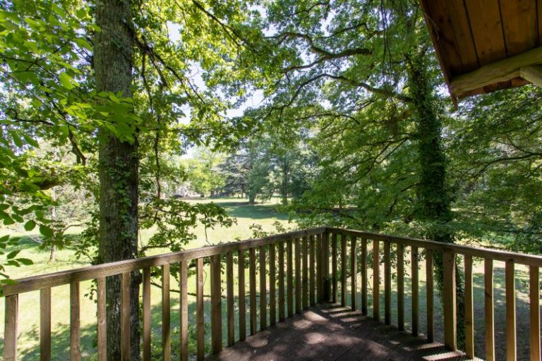 Château De Razay – Cabane dans les bois-7