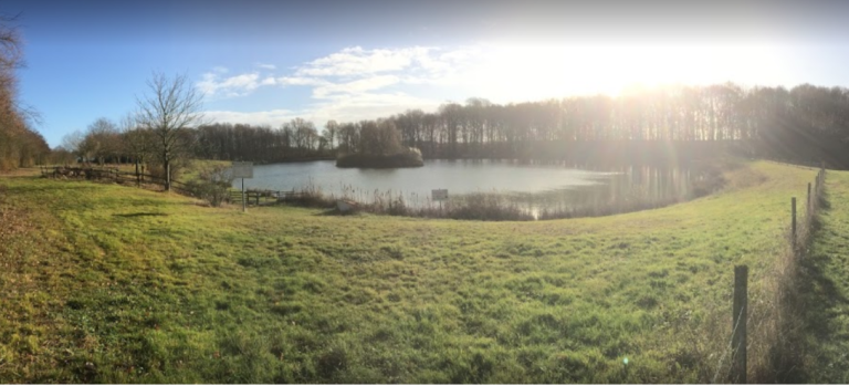 Charme pond-1