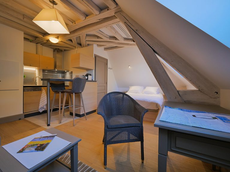 Central Parc Tours – Studio *** Siberian elm-2