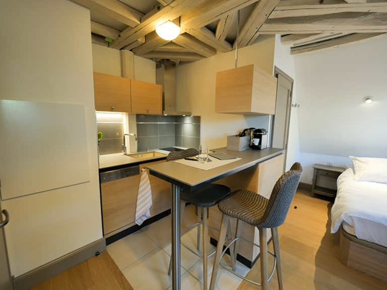 Central Parc Tours – Studio *** Siberian elm-4