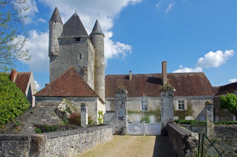Château of Bridoré-2