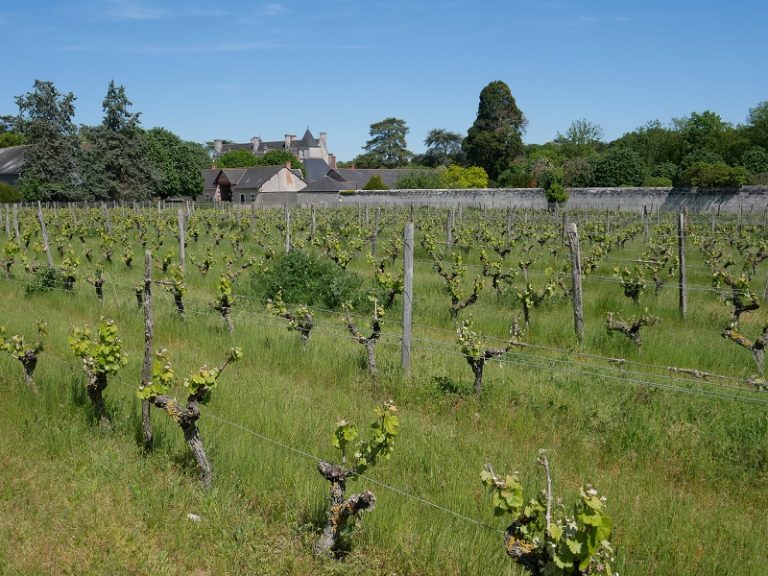 Château de Nitray-5