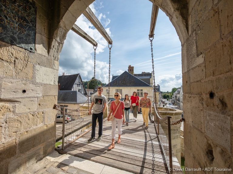 Château of Langeais and its park-2