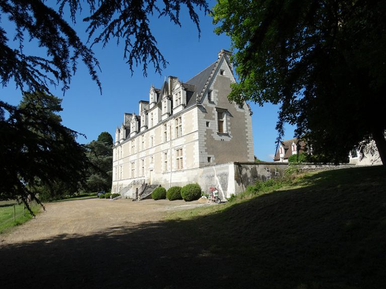 Château of Nitray-4