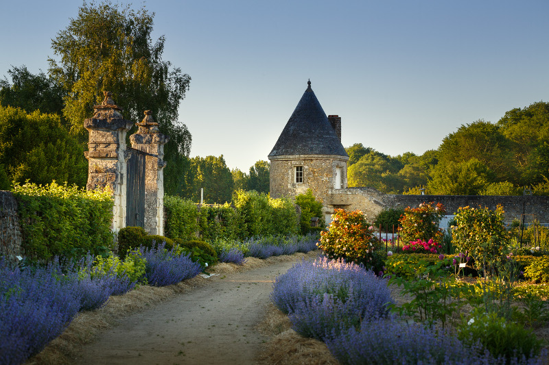 Biodiversity in the garden of Valmer - Loire Valley