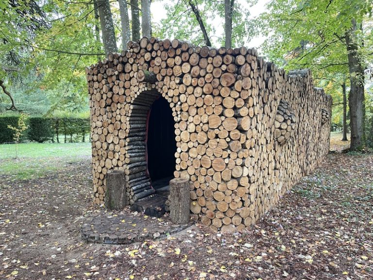 Festival de la forêt et du bois-3