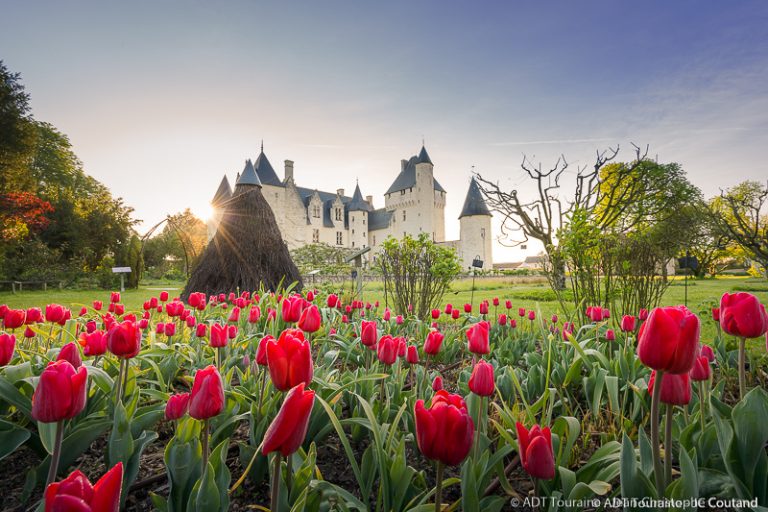 Château and gardens of Le Rivau-3