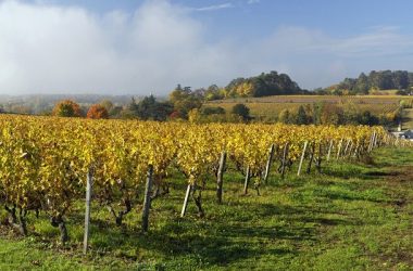 Chateau Gaudrelle, Vouvray wines – Rochecorbon, France.