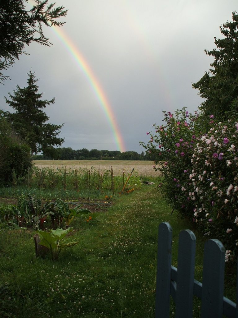 Petit Gîte – Chez Laurette-1