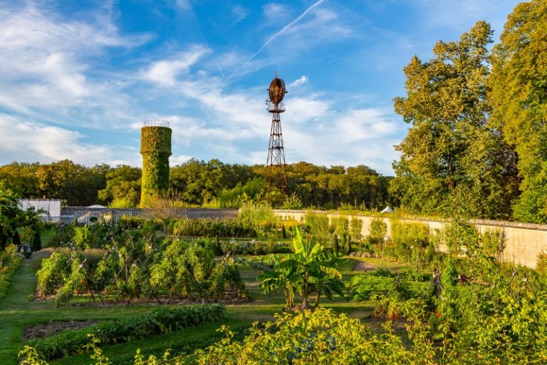 Château de la Bourdaisière-15