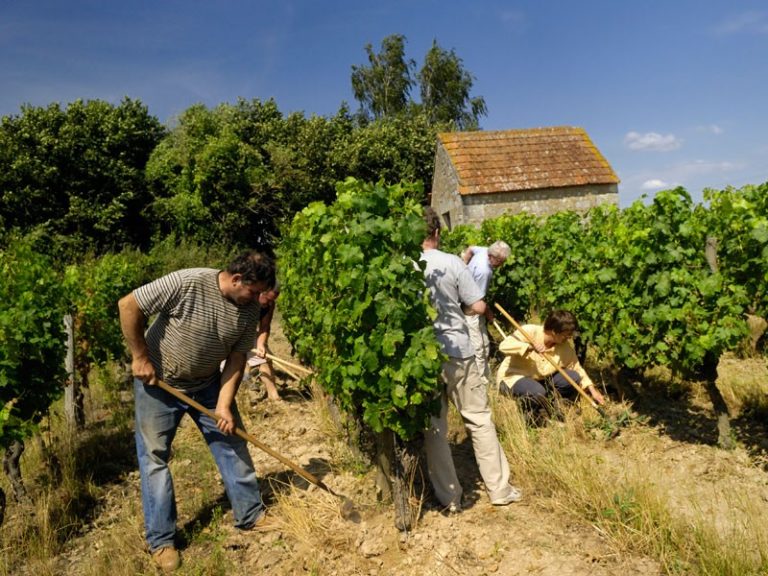 Domaine de la Chevalerie-6