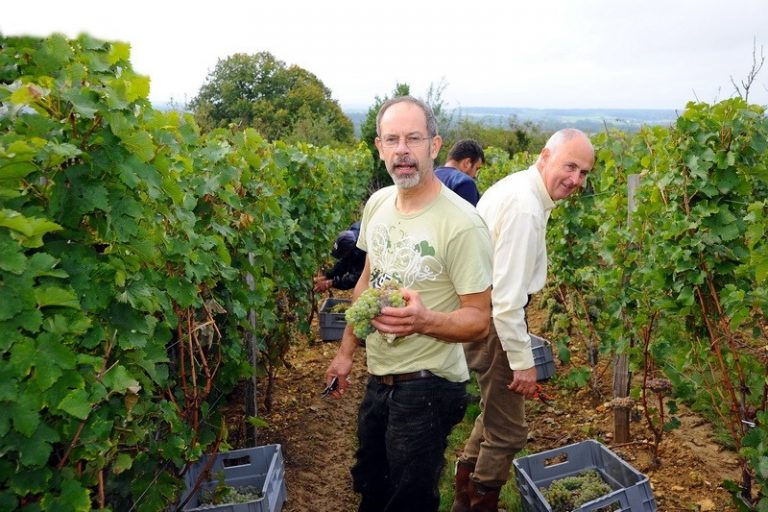 Domaine de la Dozonnerie-3