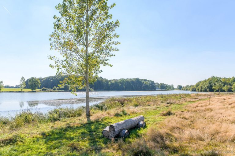 Archbishop’s pond (étang de l’Archevêque)-3