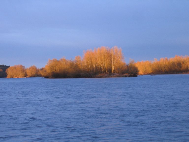 Endremage – Traditional boat trips on the Loire-9