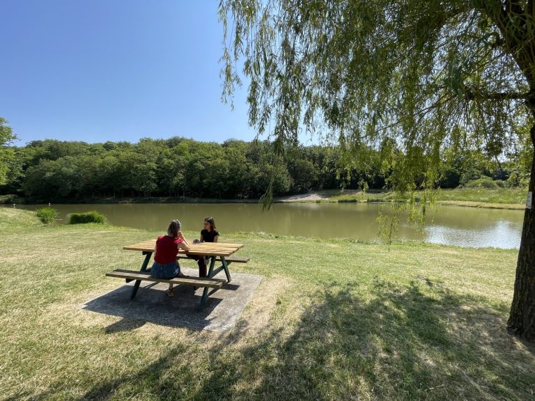 Etang des 3 merlettes – Aire de pique-nique-1