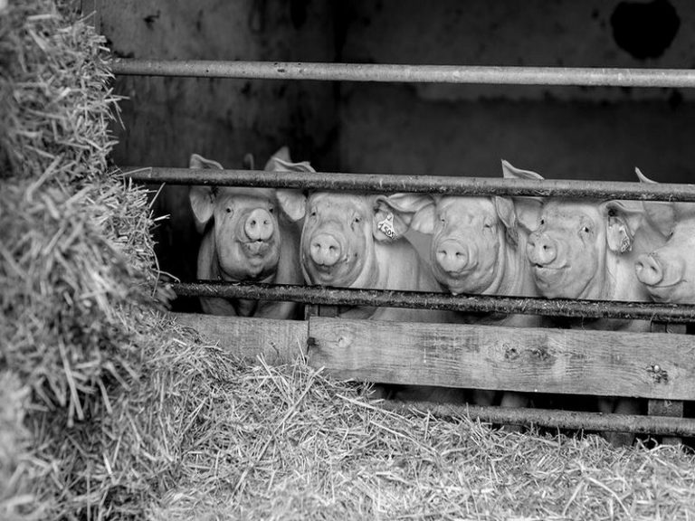 Aire de stationnement de la Ferme des Bournaichères-2