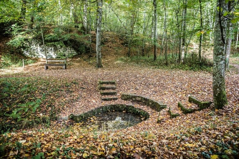 Deep in Loches Forest-2