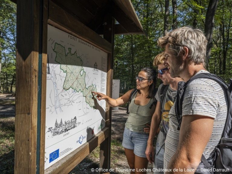 Map of the Loches National Forest-1