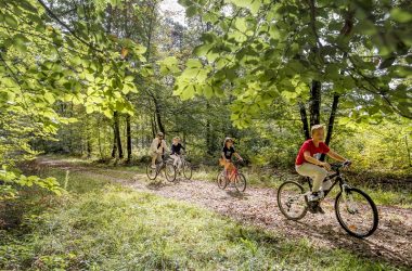 Forêt domaniale de Loches-cyclo-loches-valdeloire