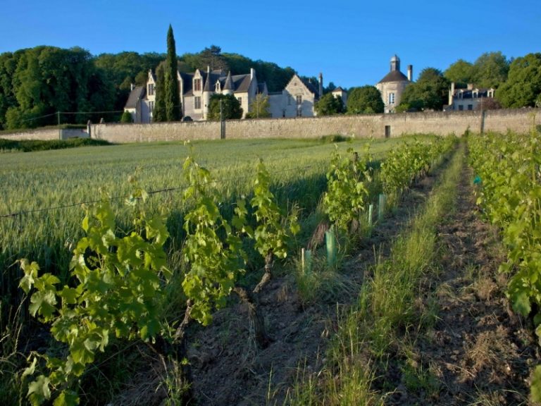 Château de La Vauguyon – Gite La Fuye-2