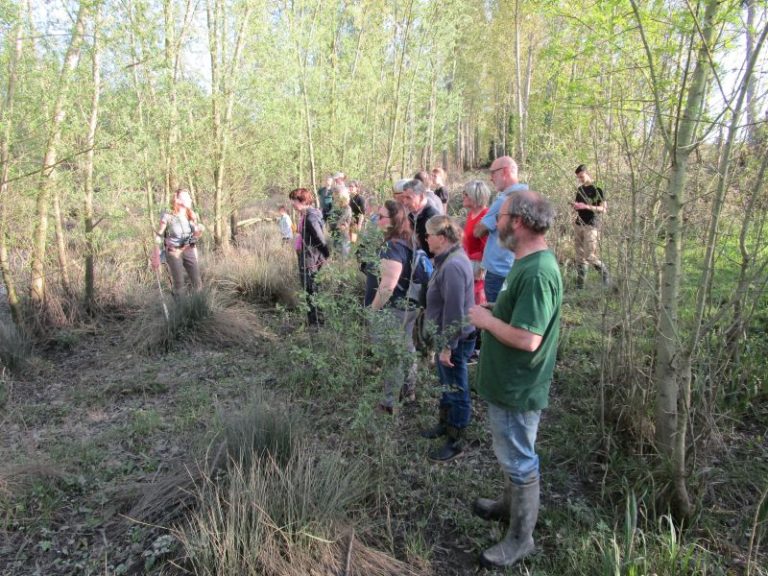 Sortie sur la loutre dans la vallée de la Veude de Poncay-1