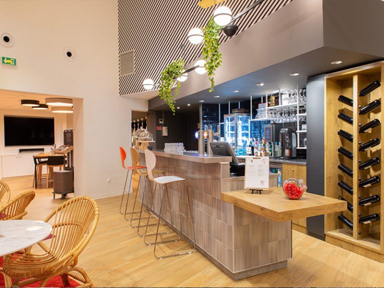 Ibis Tours Sud Hotel-1