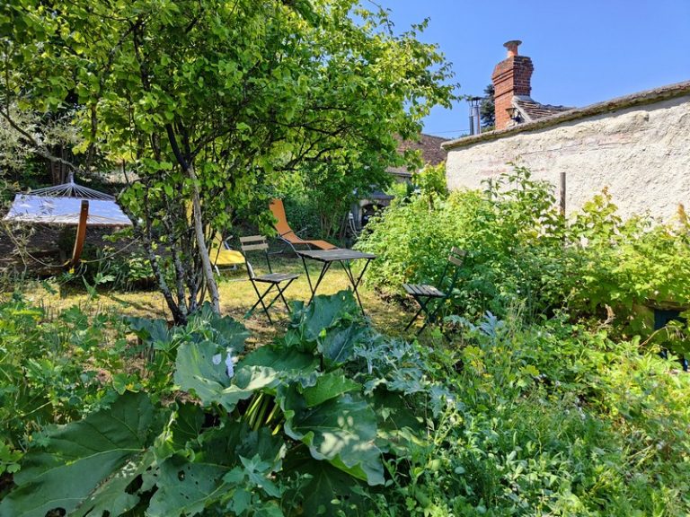 La maison bleue de Husseau-3