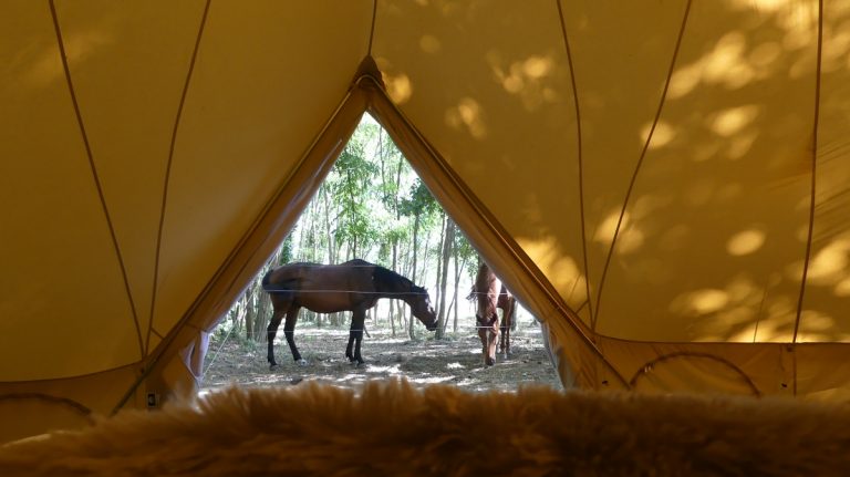 Night among horses – Touraine Cheval-4