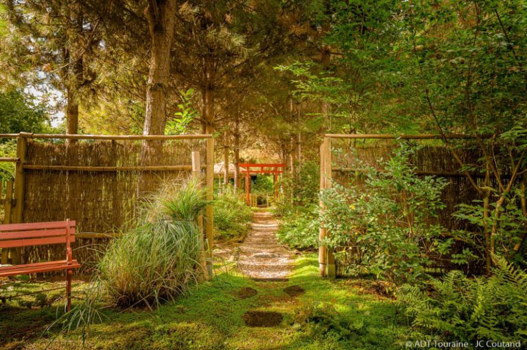 The Garden of Mireille in Touraine Angevine-3