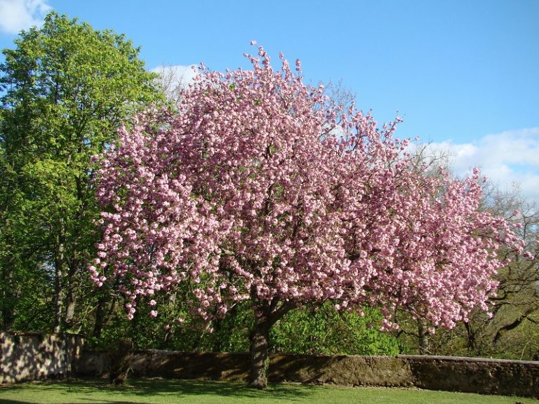 Manoir de la Guepière-16