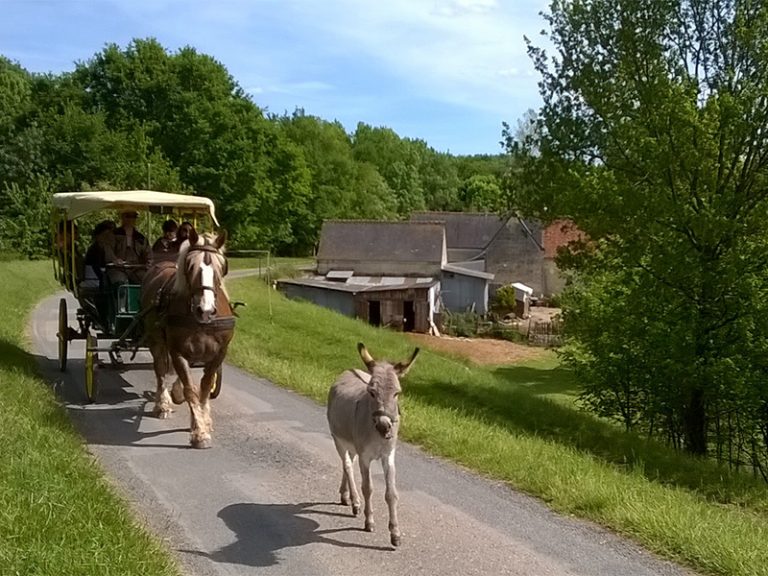 Les attelages de Villandry – Carriage rides-4