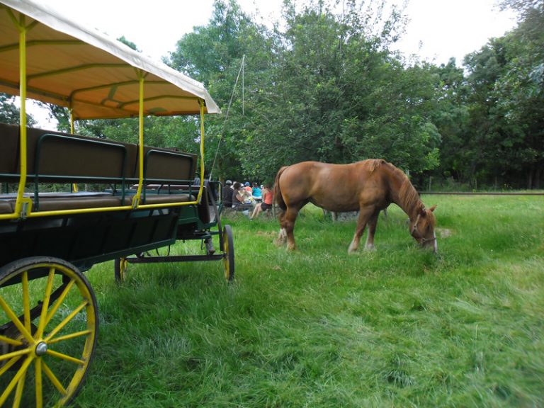 Les attelages de Villandry – Carriage rides-5