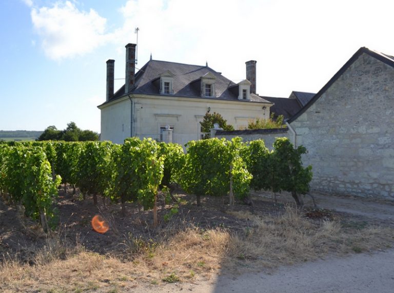 Domaine des Vinqueur-2