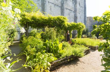 Loches_2018_27_BD