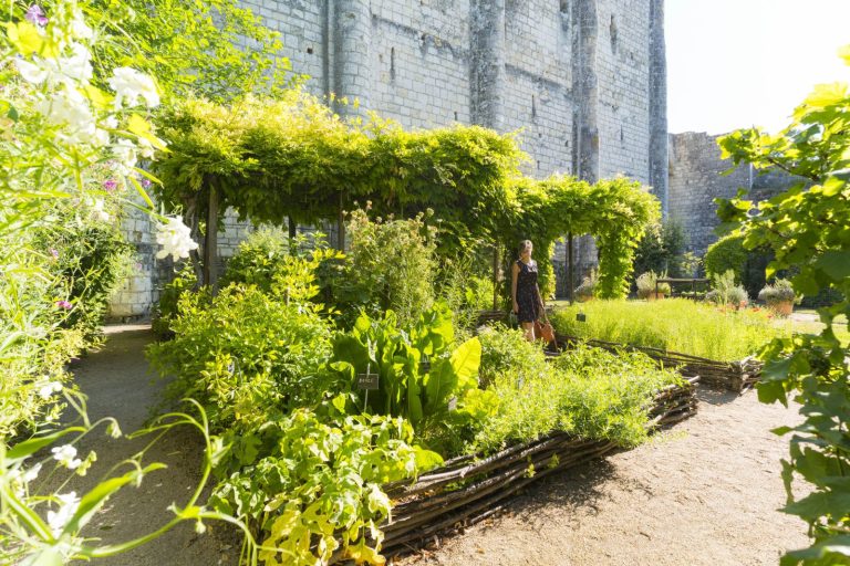 Visite thématique : Le jardin médiéval-1