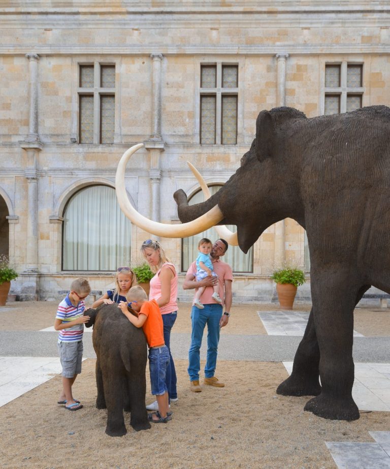 Visite guidée des collections : 100 000 ans de Préhistoire en Touraine-2