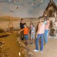 Visite guidée des collections : 100 000 ans de Préhistoire en Touraine