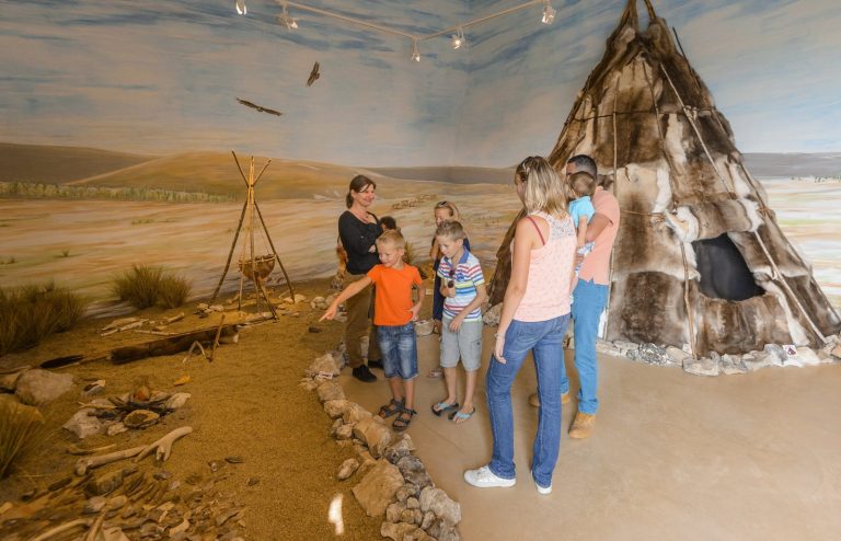 Visite guidée des collections : 100 000 ans de Préhistoire en Touraine-1