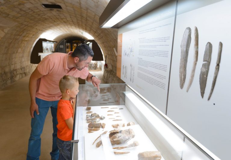 Visite guidée des collections : 100 000 ans de Préhistoire en Touraine-3
