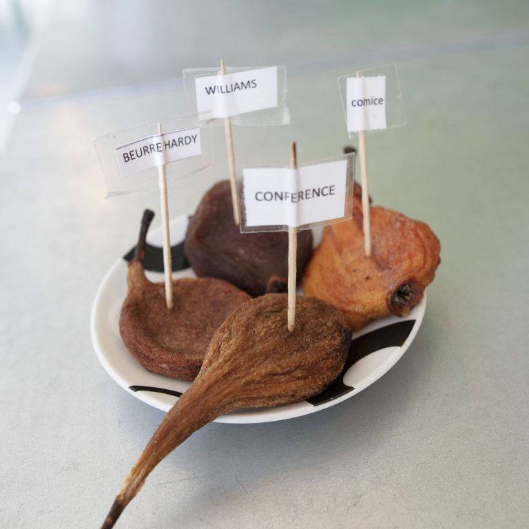 Poires tapées (dried pears) House-4