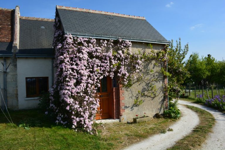 Maison des Vignes-2