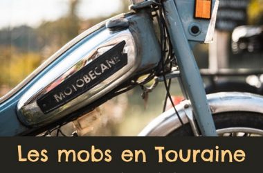 Mobs en Touraine – Chemillé-sur-Indrois